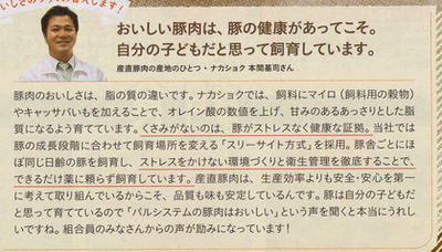 豚(syou)
