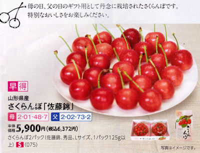 イオン 母の日 さくらんぼ2020(