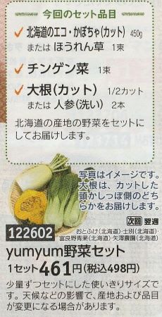 yumyum野菜セット