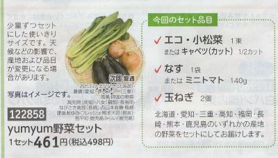 パルシステム　yumyum野菜セット